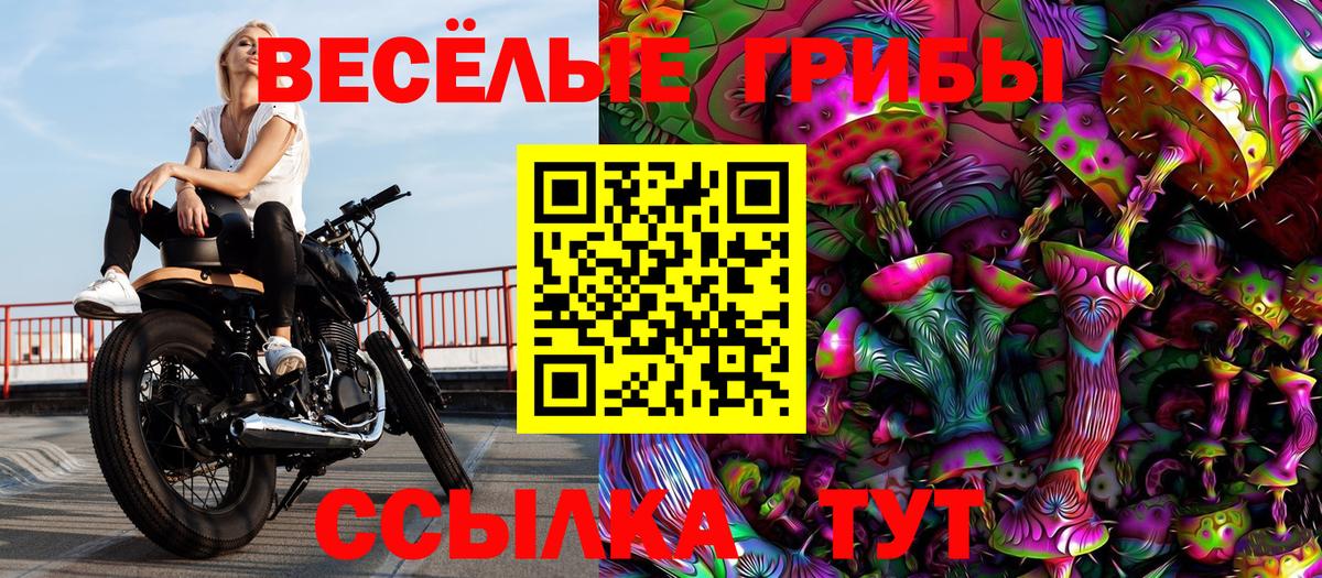как найти наркотики  Вход с VPN  Псилоцибиновые грибы мухоморы  Похвистнево  Галлюциногенные грибы Magic Shrooms 